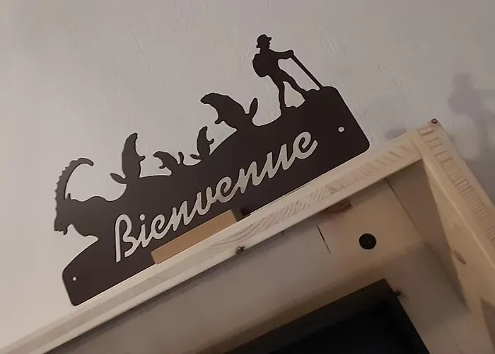 Tres Bel T3 Hyper Centre Entierement Renove En 2022 *