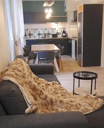 Tres Bel T3 Hyper Centre Entierement Renove En 2022 *