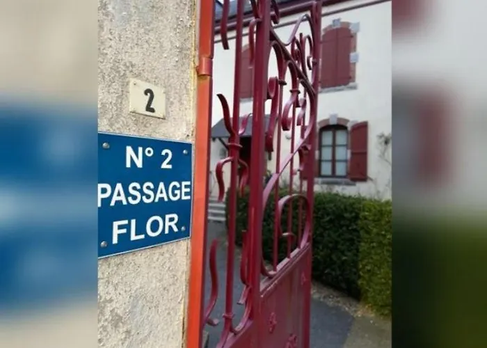 Tres Bel T3 Hyper Centre Entierement Renove En 2022 Lägenhet *