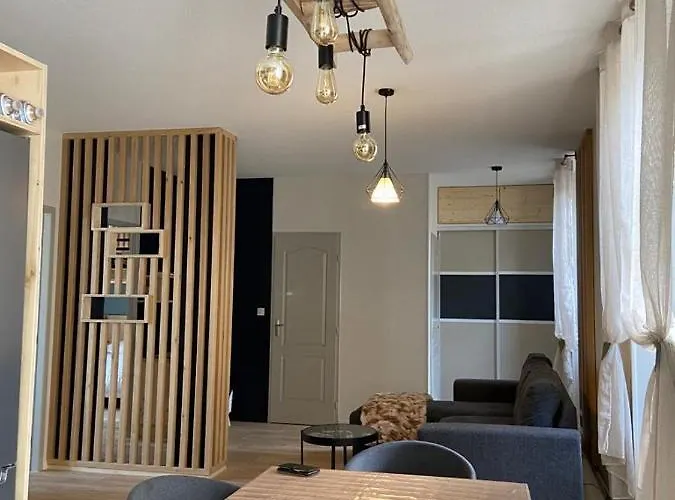 Tres Bel T3 Hyper Centre Entierement Renove En 2022 Lägenhet Luz-Saint-Sauveur