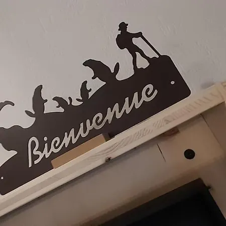 Tres Bel T3 Hyper Centre Entierement Renove En 2022 *