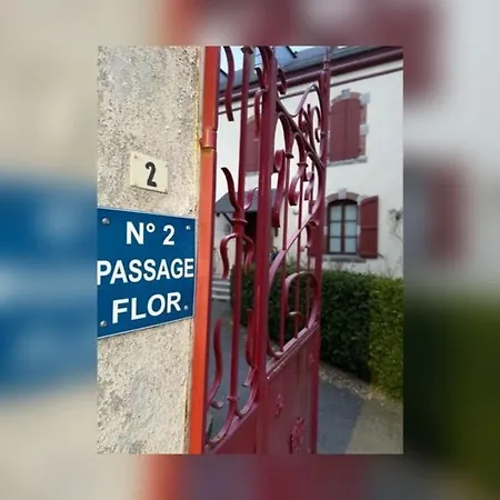 Tres Bel T3 Hyper Centre Entierement Renove En 2022 Апартаменты *