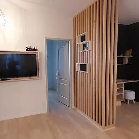 Tres Bel T3 Hyper Centre Entierement Renove En 2022 Люс-Сен-Совёр