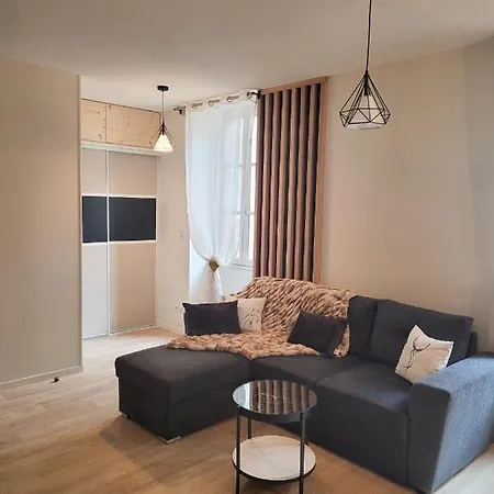 Tres Bel T3 Hyper Centre Entierement Renove En 2022 Люс-Сен-Совёр