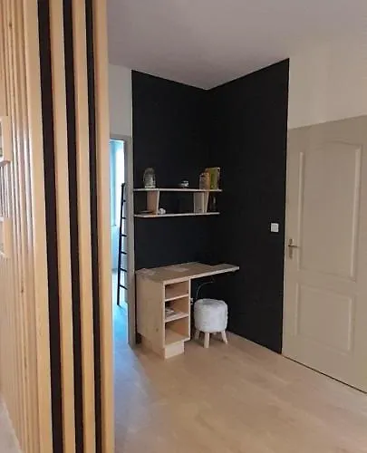 Tres Bel T3 Hyper Centre Entierement Renove En 2022 Апартаменты Люс-Сен-Совёр