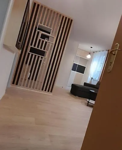 Tres Bel T3 Hyper Centre Entierement Renove En 2022 Люс-Сен-Совёр